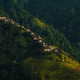 Illustration for article titled Stunning photos show the ancient tradition of honey hunting in Nepal